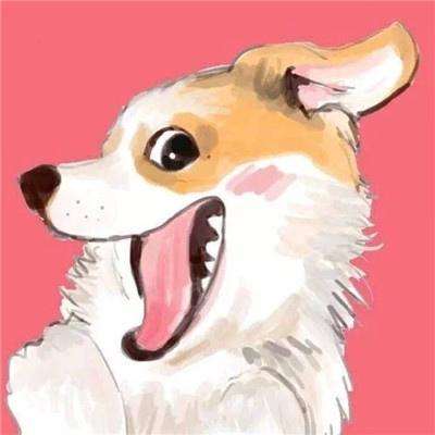 公主度假夏令营游戏下载